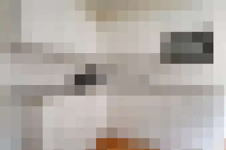 Meester Lazonderstraat 30 Denekamp thumbnail 7