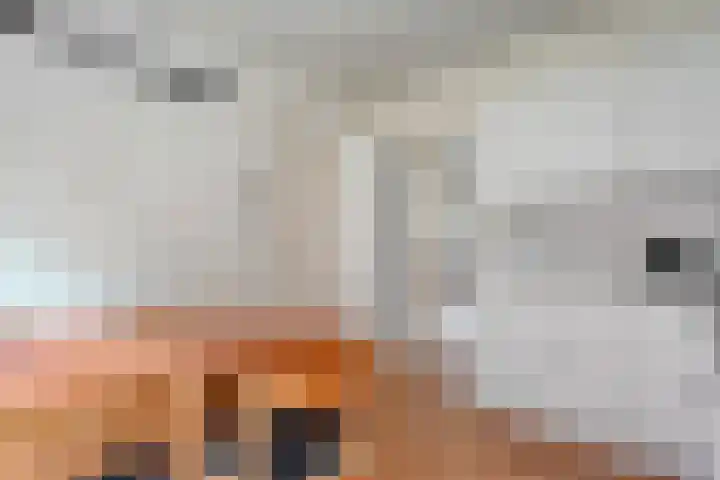 Meester Lazonderstraat 30 Denekamp thumbnail 8