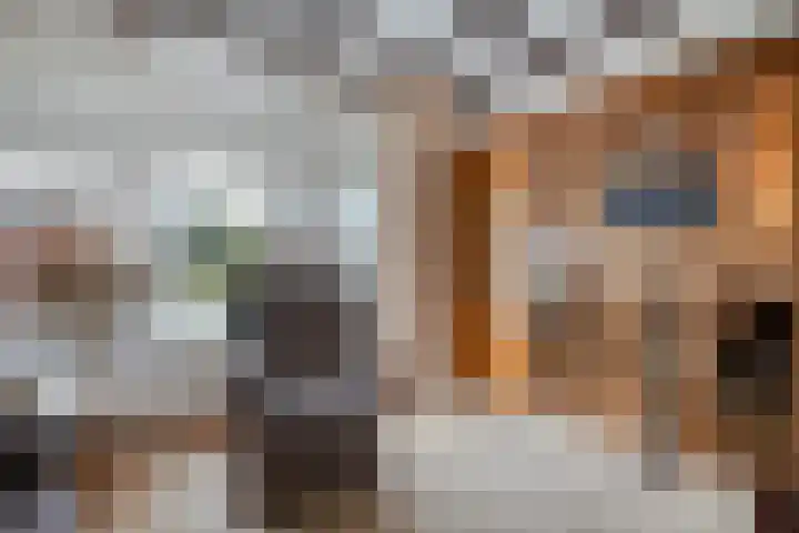 Meester Lazonderstraat 43 Denekamp thumbnail 11