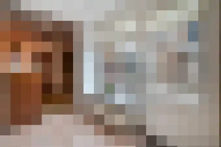Meester Lazonderstraat 43 Denekamp thumbnail 14