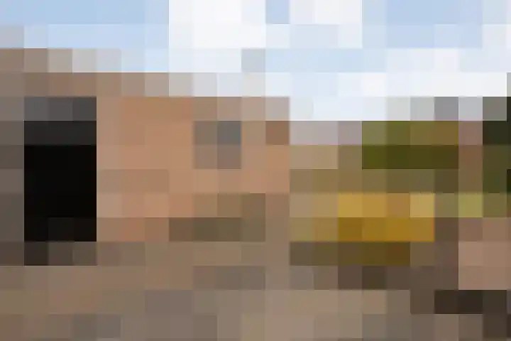 Meester Lazonderstraat 43 Denekamp thumbnail 21