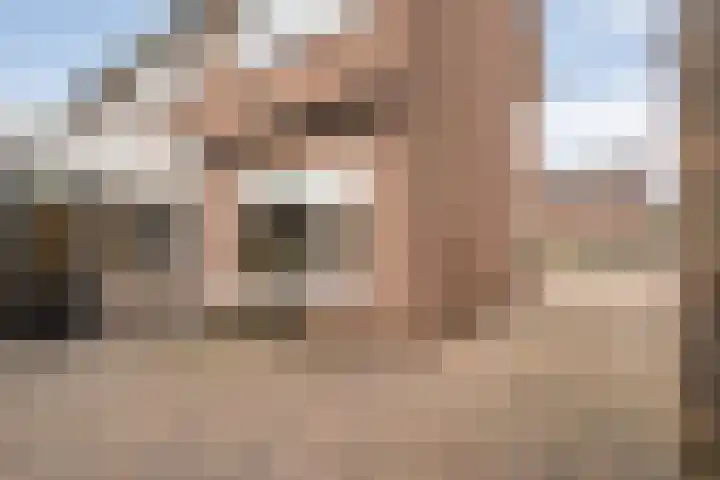 Meester Lazonderstraat 43 Denekamp thumbnail 22