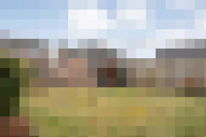 Meester Lazonderstraat 43 Denekamp thumbnail 23