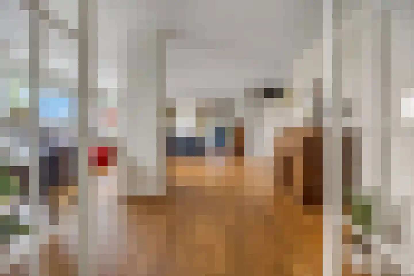 Meester Linssenhof 25 Huissen thumbnail 10
