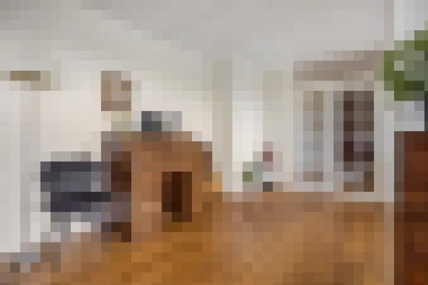Meester Linssenhof 25 Huissen thumbnail 22