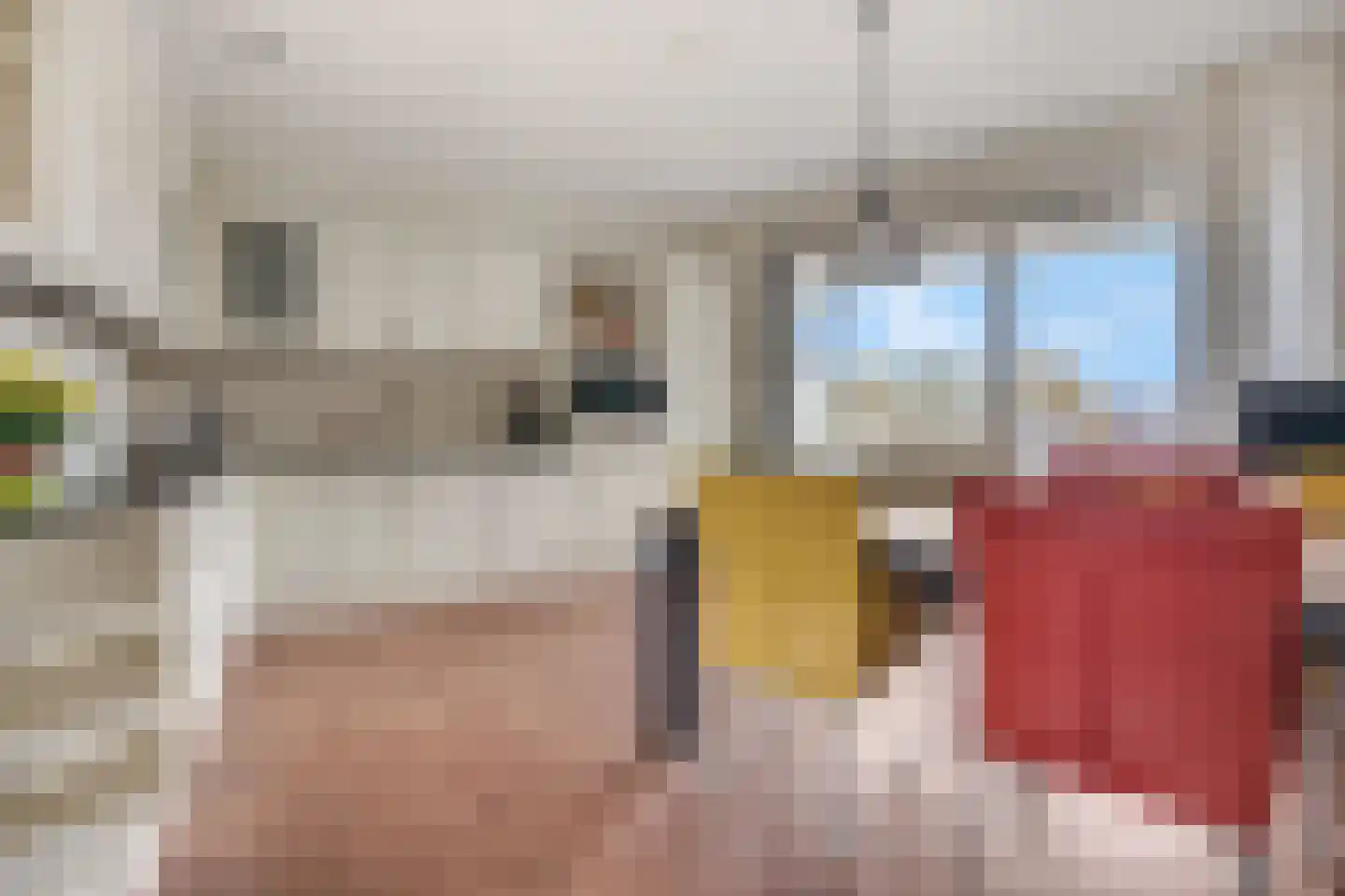 Meester Linssenhof 25 Huissen thumbnail 28