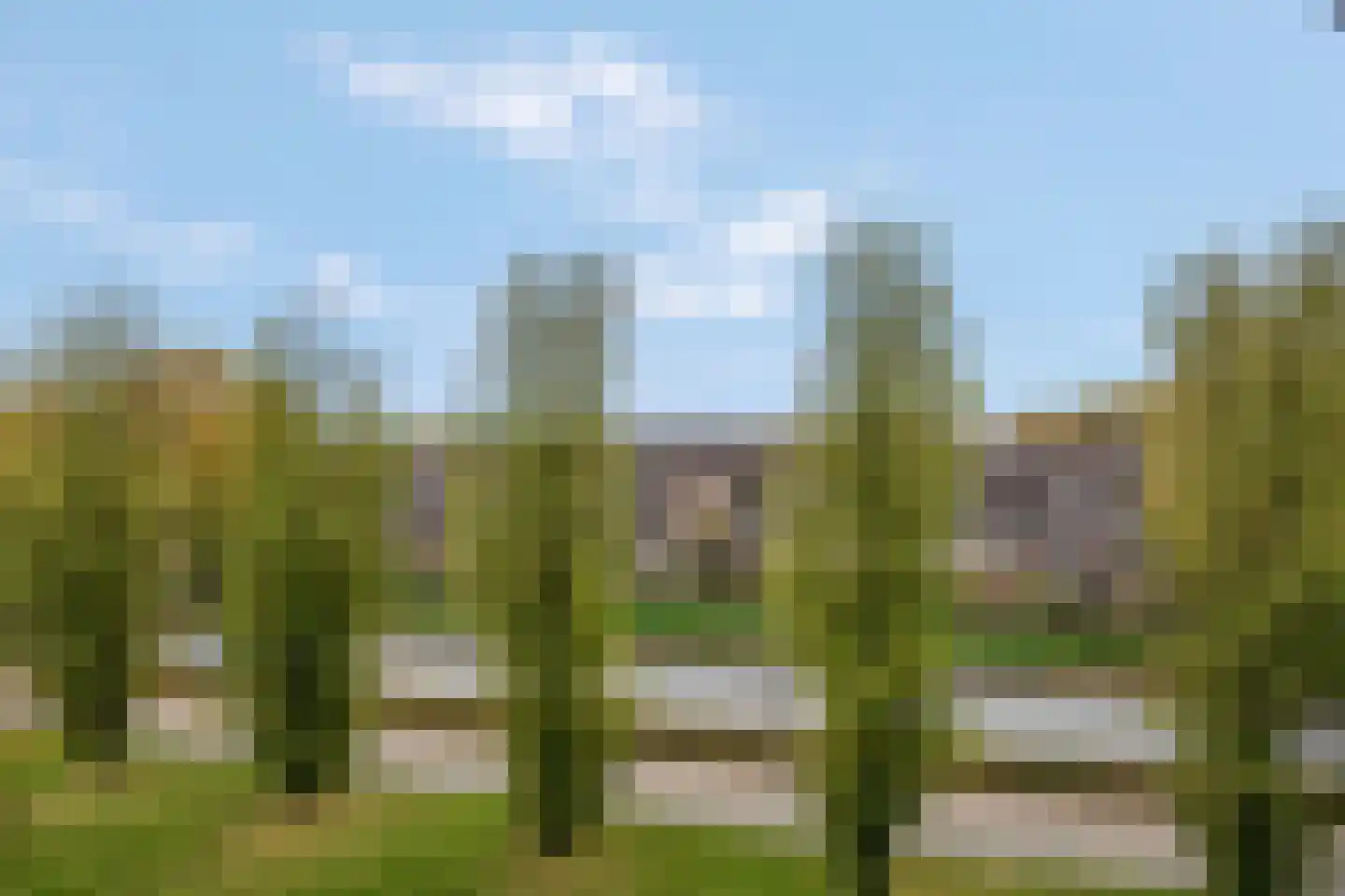 Meester Linssenhof 25 Huissen thumbnail 36