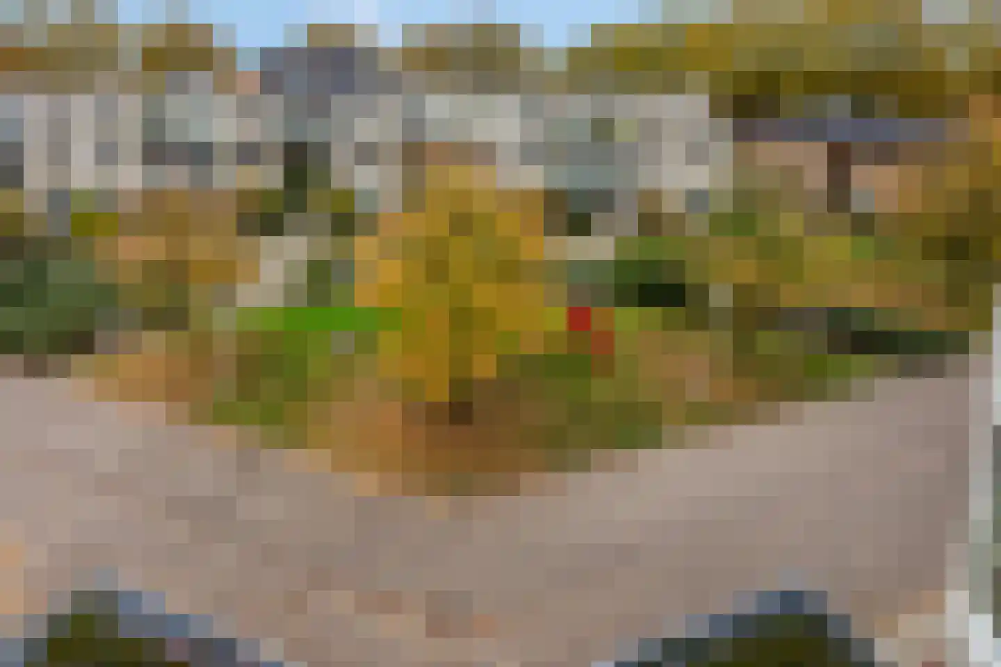Meester Linssenhof 25 Huissen thumbnail 37