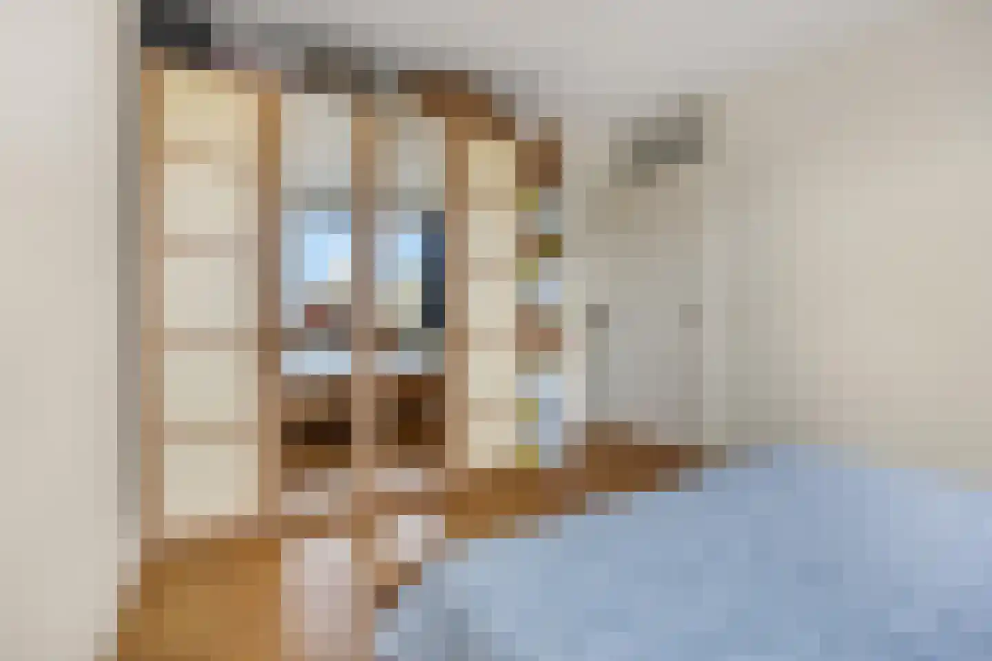 Meester Linssenhof 25 Huissen thumbnail 41