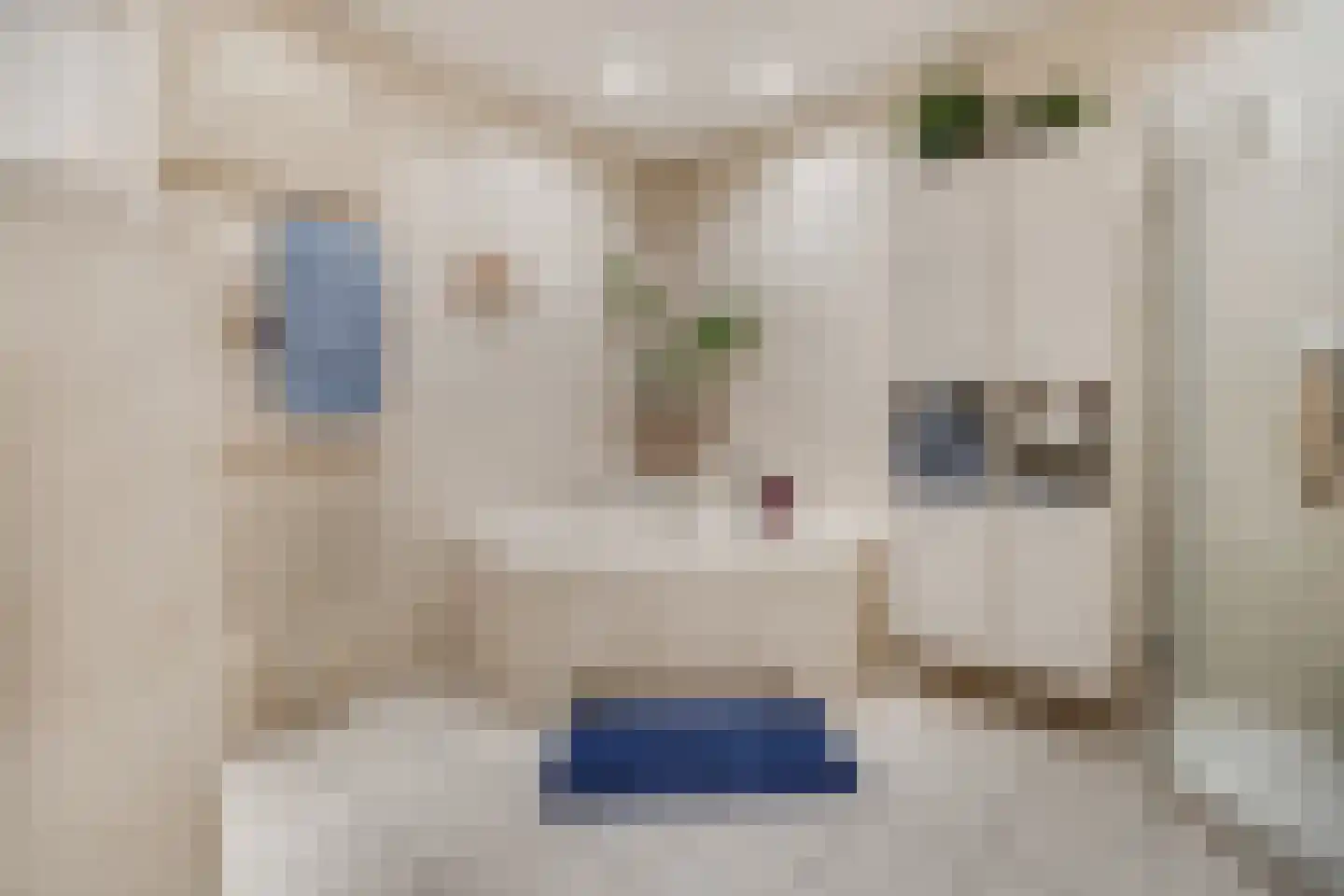 Meester Linssenhof 25 Huissen thumbnail 46