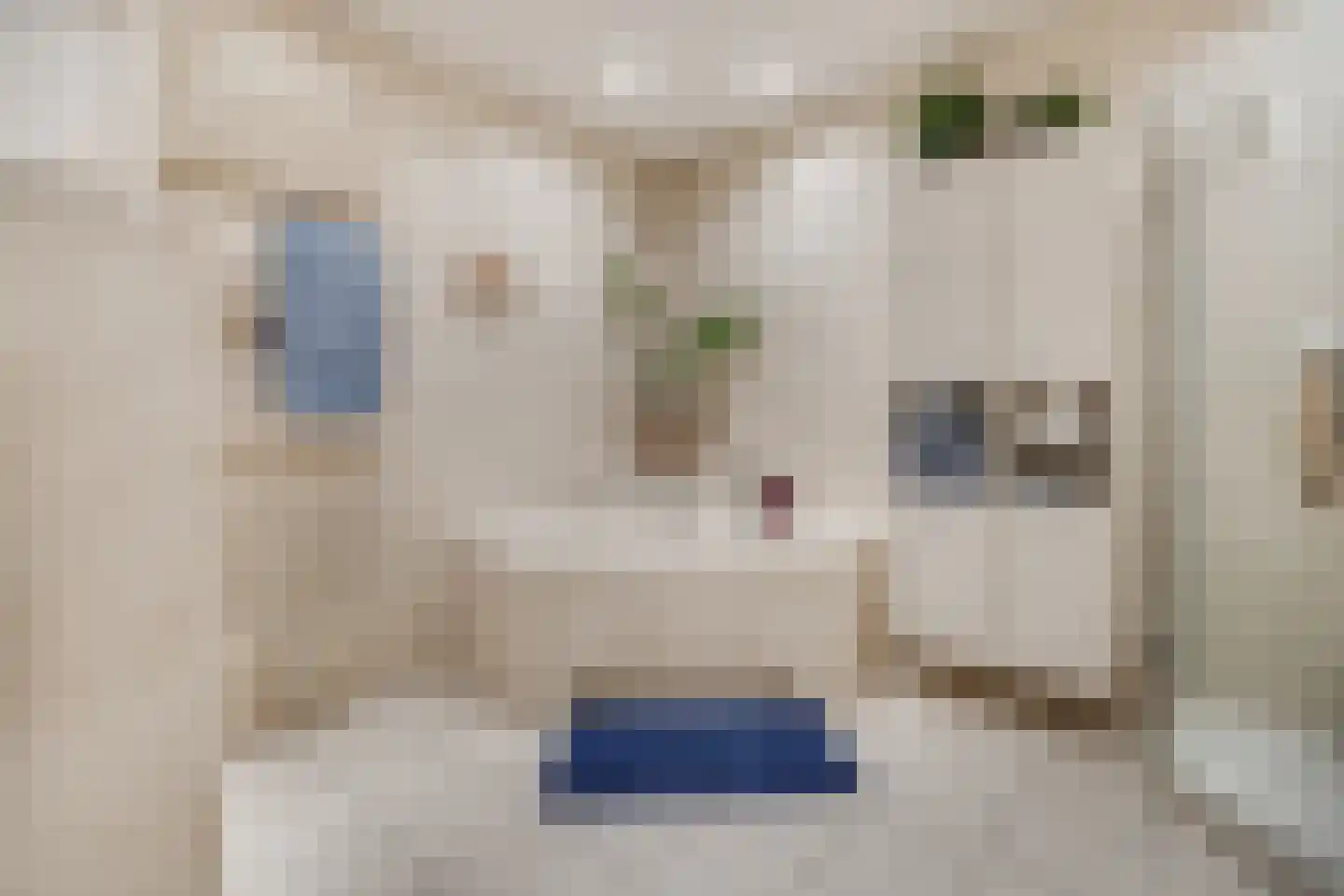 Meester Linssenhof 25 Huissen thumbnail 46