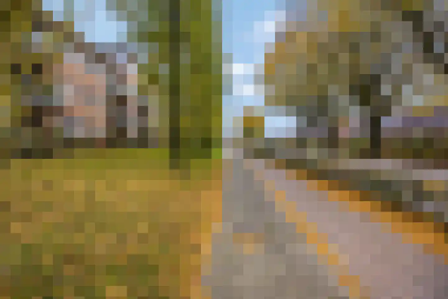 Meester Linssenhof 25 Huissen thumbnail 75
