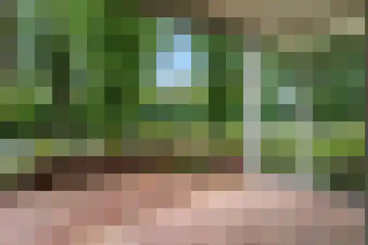 Meester Linssenhof 43 Huissen thumbnail 28
