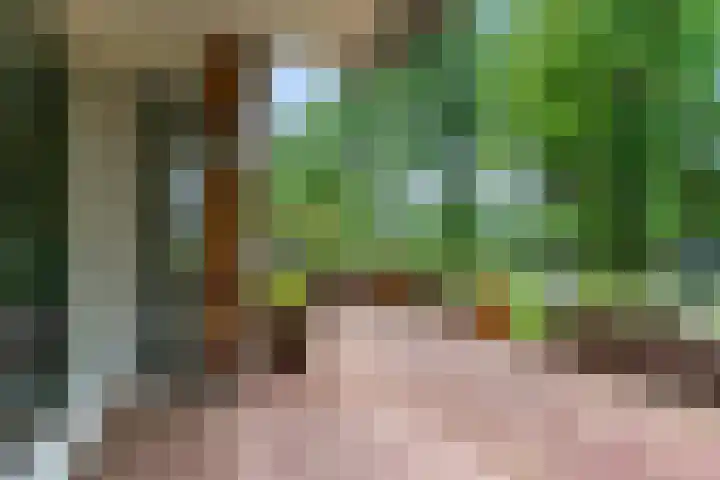 Meester Linssenhof 43 Huissen thumbnail 30