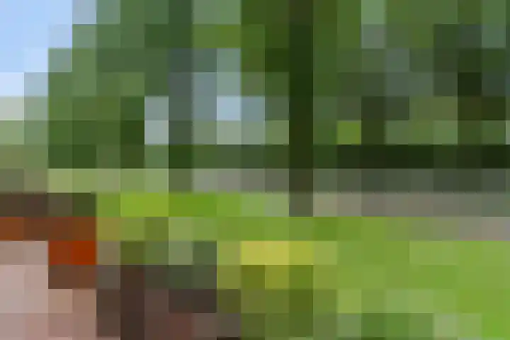 Meester Linssenhof 43 Huissen thumbnail 32