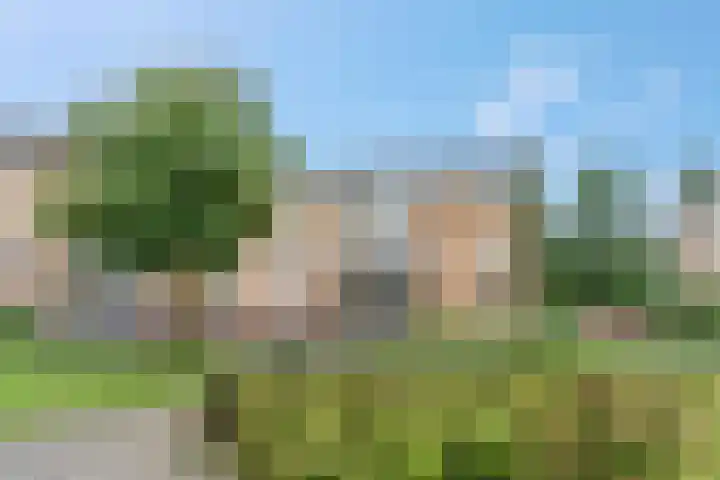 Meester Linssenhof 43 Huissen thumbnail 39