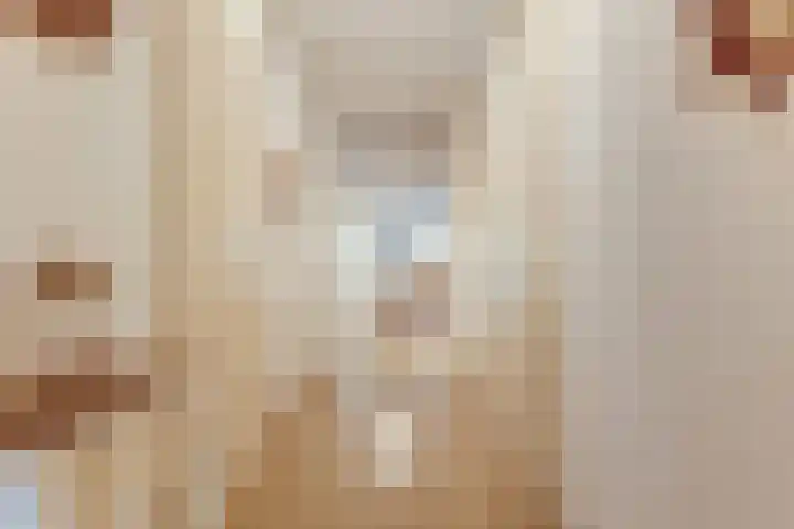 Meester Linssenhof 45 Huissen thumbnail 8