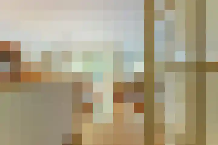 Meester Linssenhof 45 Huissen thumbnail 9
