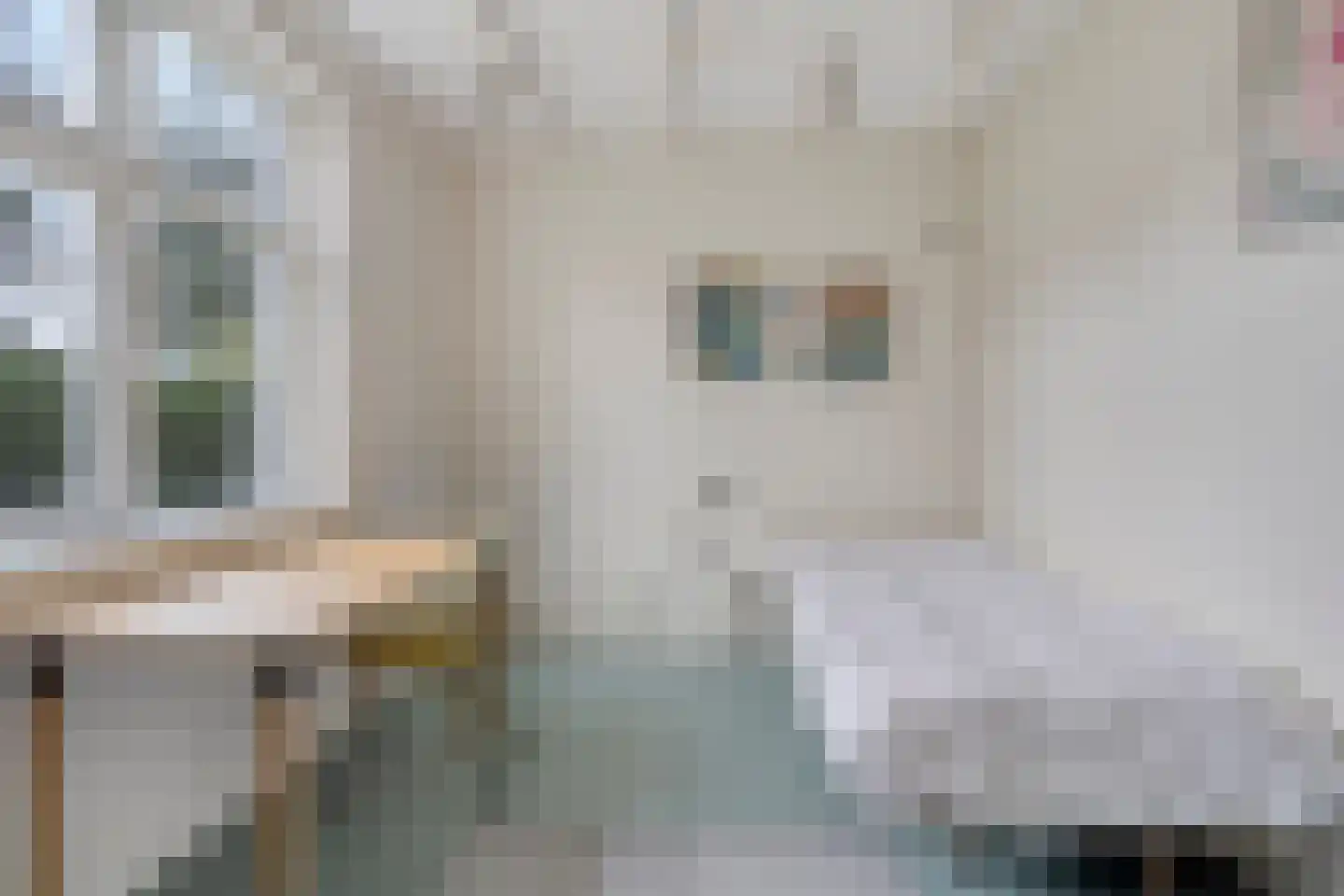 Meester Lokstraat 46 Ravenswoud thumbnail 23