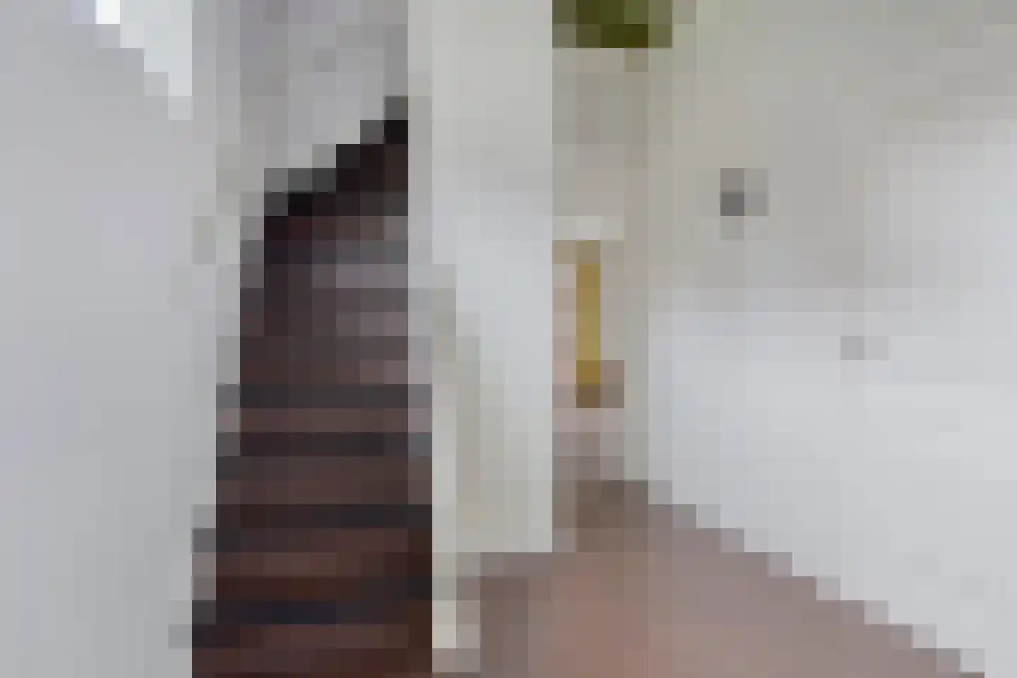 Meester Lokstraat 46 Ravenswoud thumbnail 27