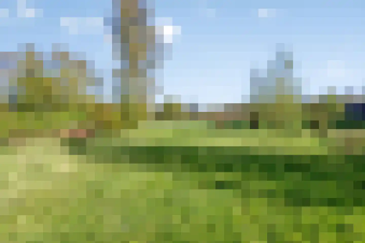 Meester Lokstraat 46 Ravenswoud thumbnail 36