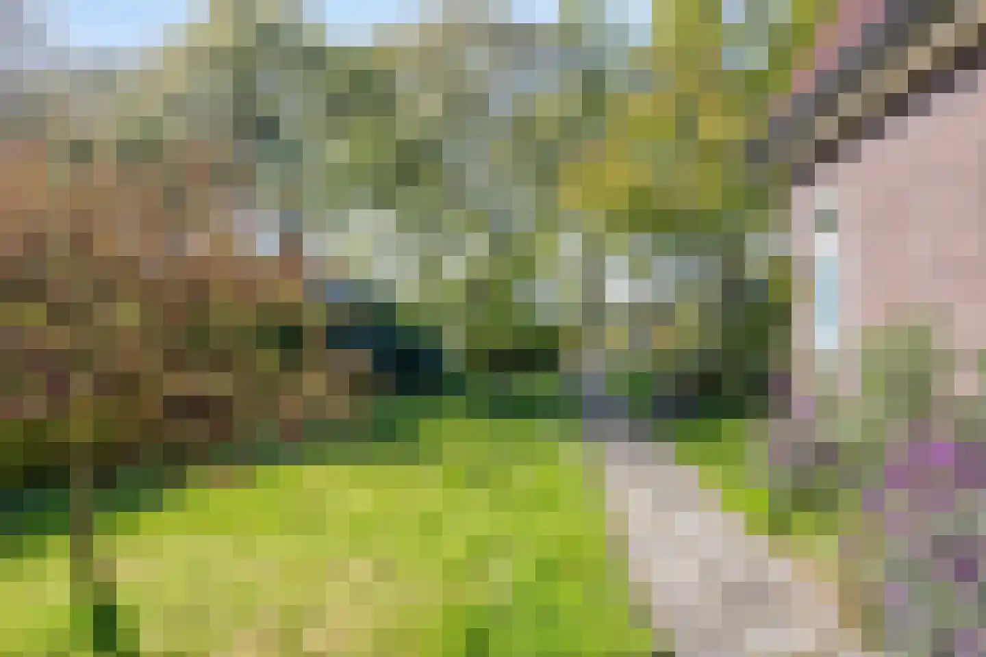 Meester Lokstraat 46 Ravenswoud thumbnail 37