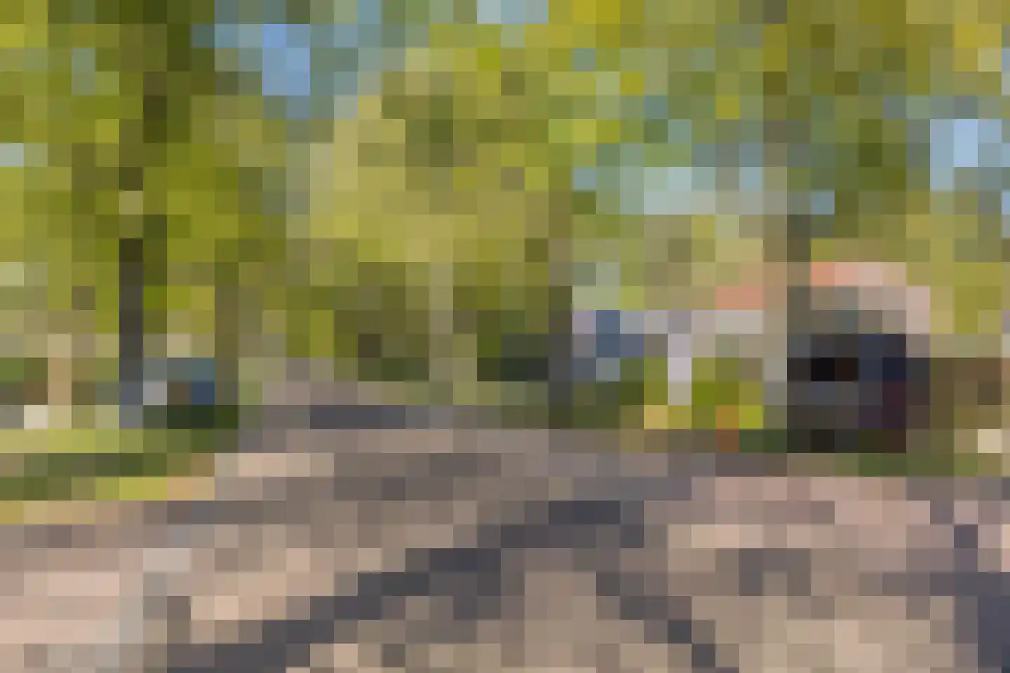 Meester Lokstraat 46 Ravenswoud thumbnail 39