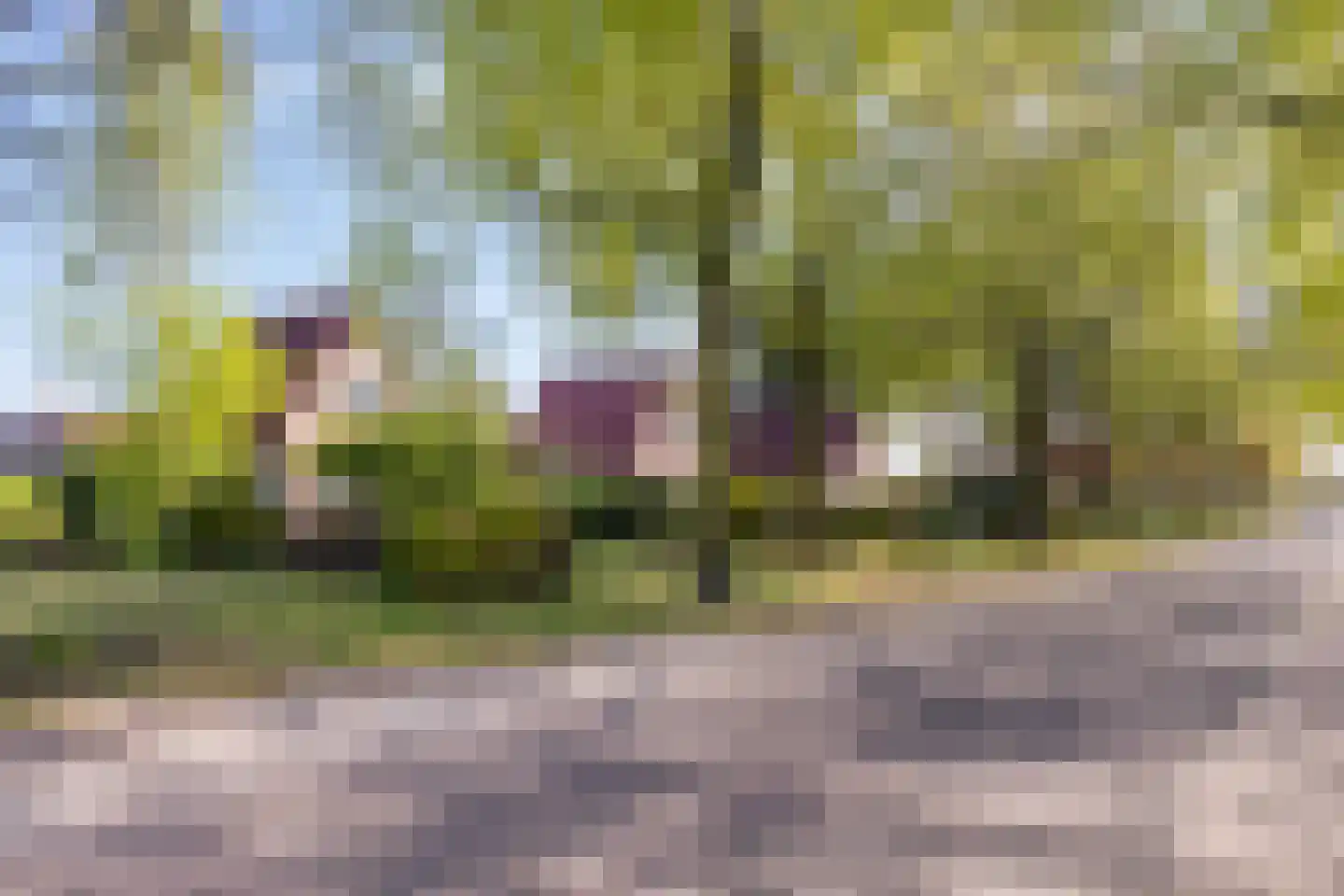 Meester Lokstraat 46 Ravenswoud thumbnail 40