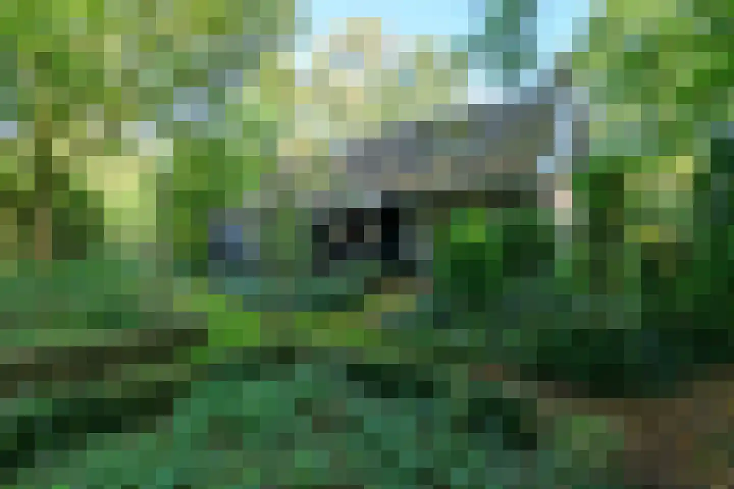 Meester Lokstraat 9 Ravenswoud thumbnail 32