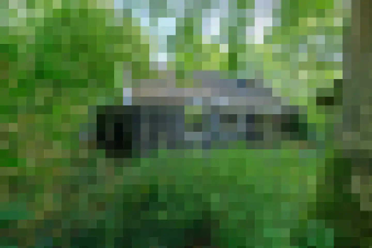Meester Lokstraat 9 Ravenswoud thumbnail 34