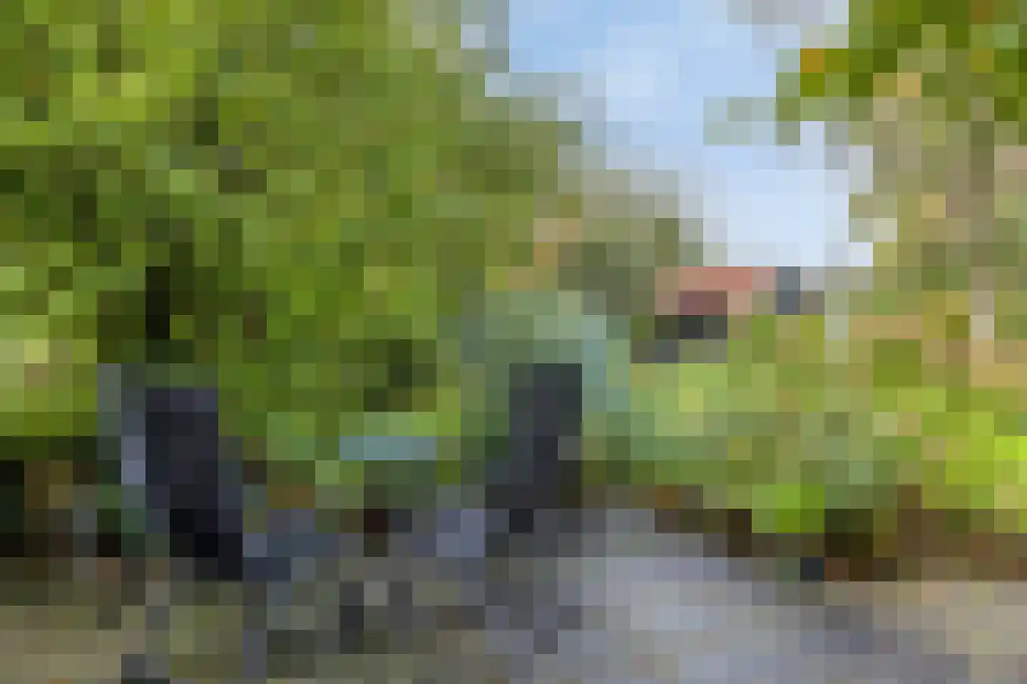 Meester Lokstraat 9 Ravenswoud thumbnail 35