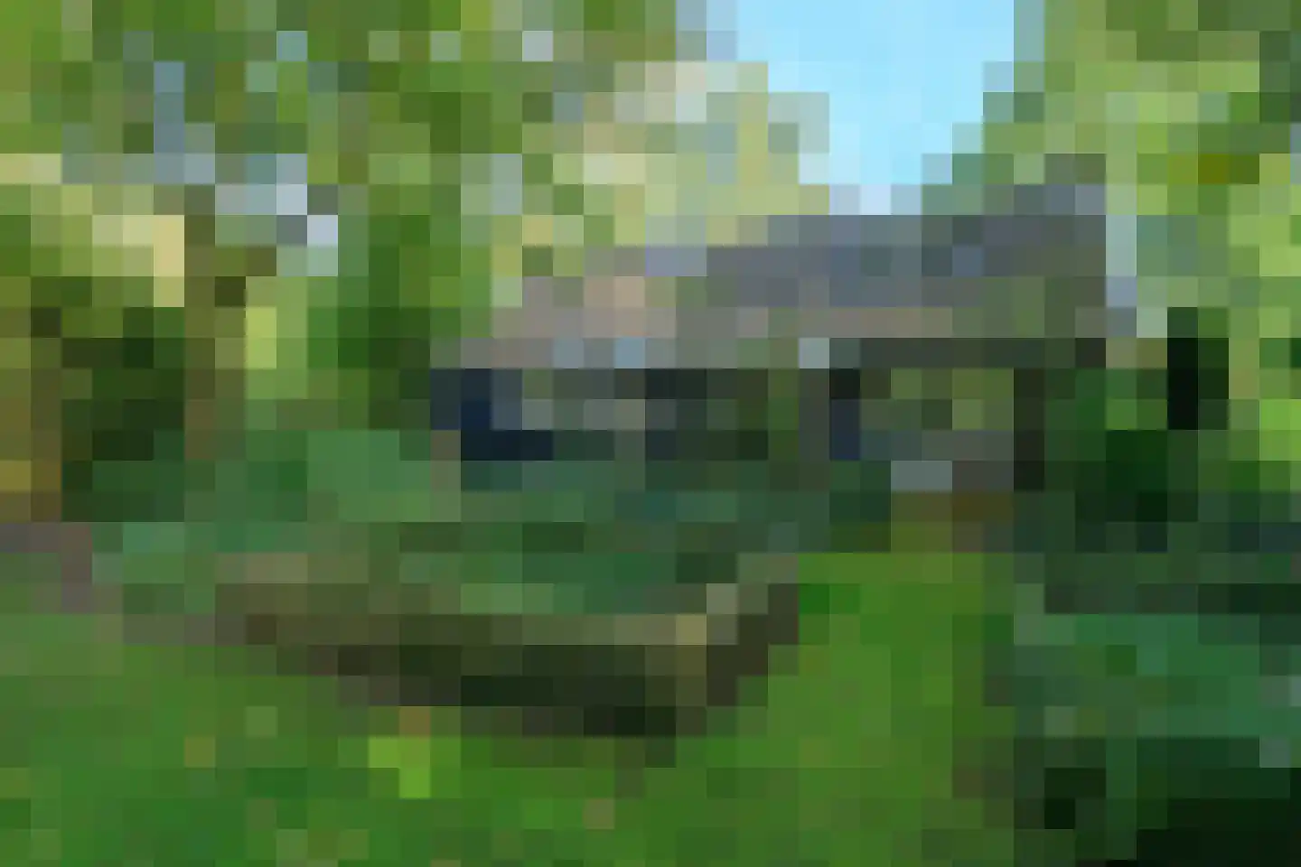 Meester Lokstraat 9 Ravenswoud thumbnail 36