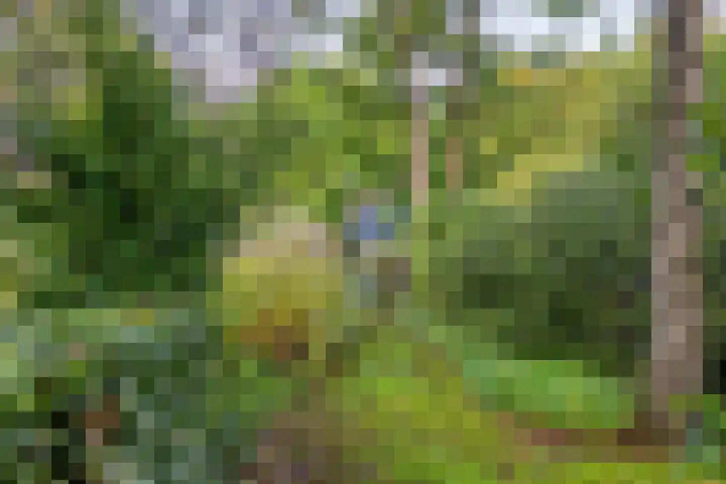Meester Lokstraat 9 Ravenswoud thumbnail 37