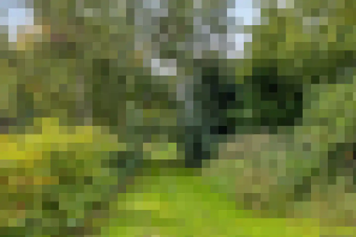 Meester Lokstraat 9 Ravenswoud thumbnail 39
