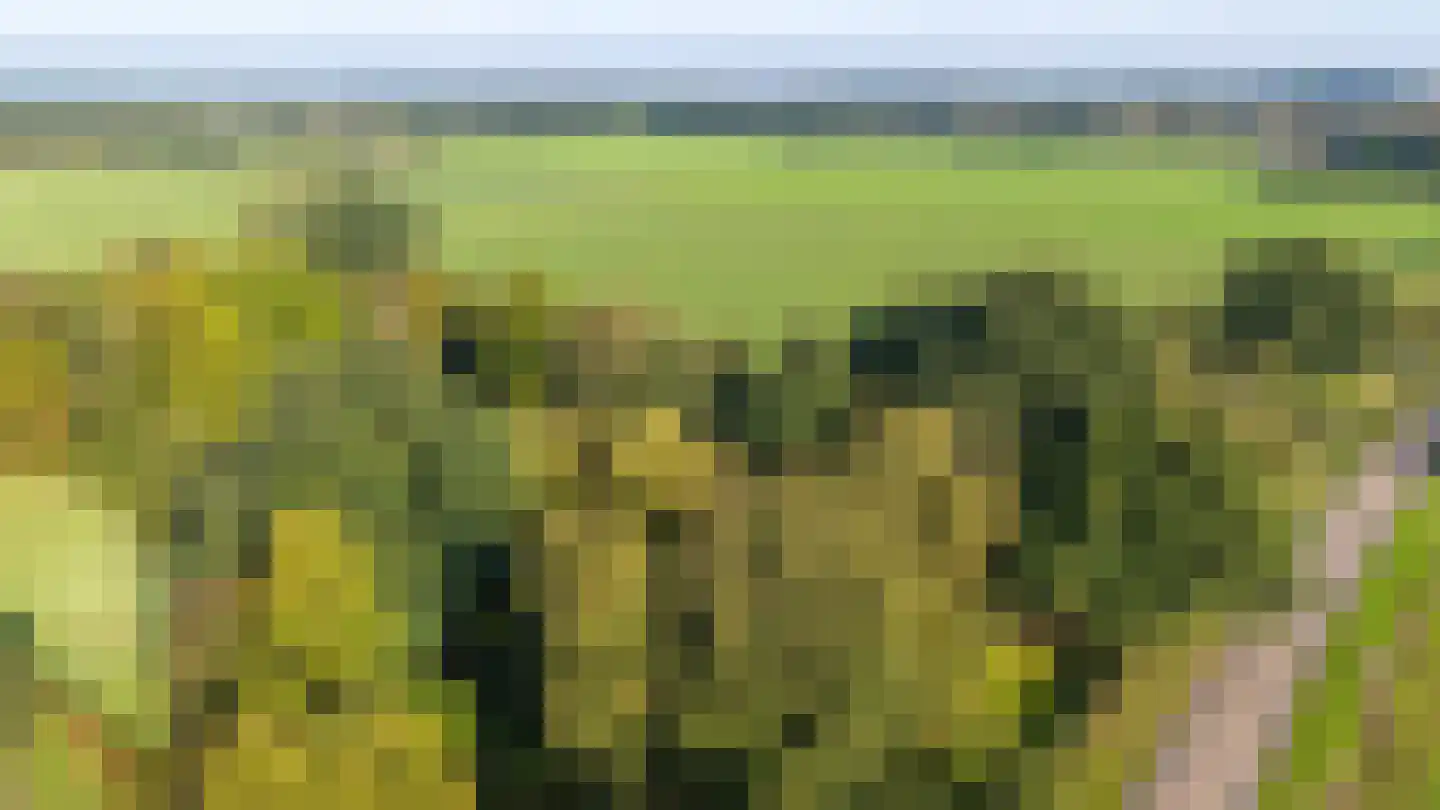 Meester Lokstraat 9 Ravenswoud thumbnail 4