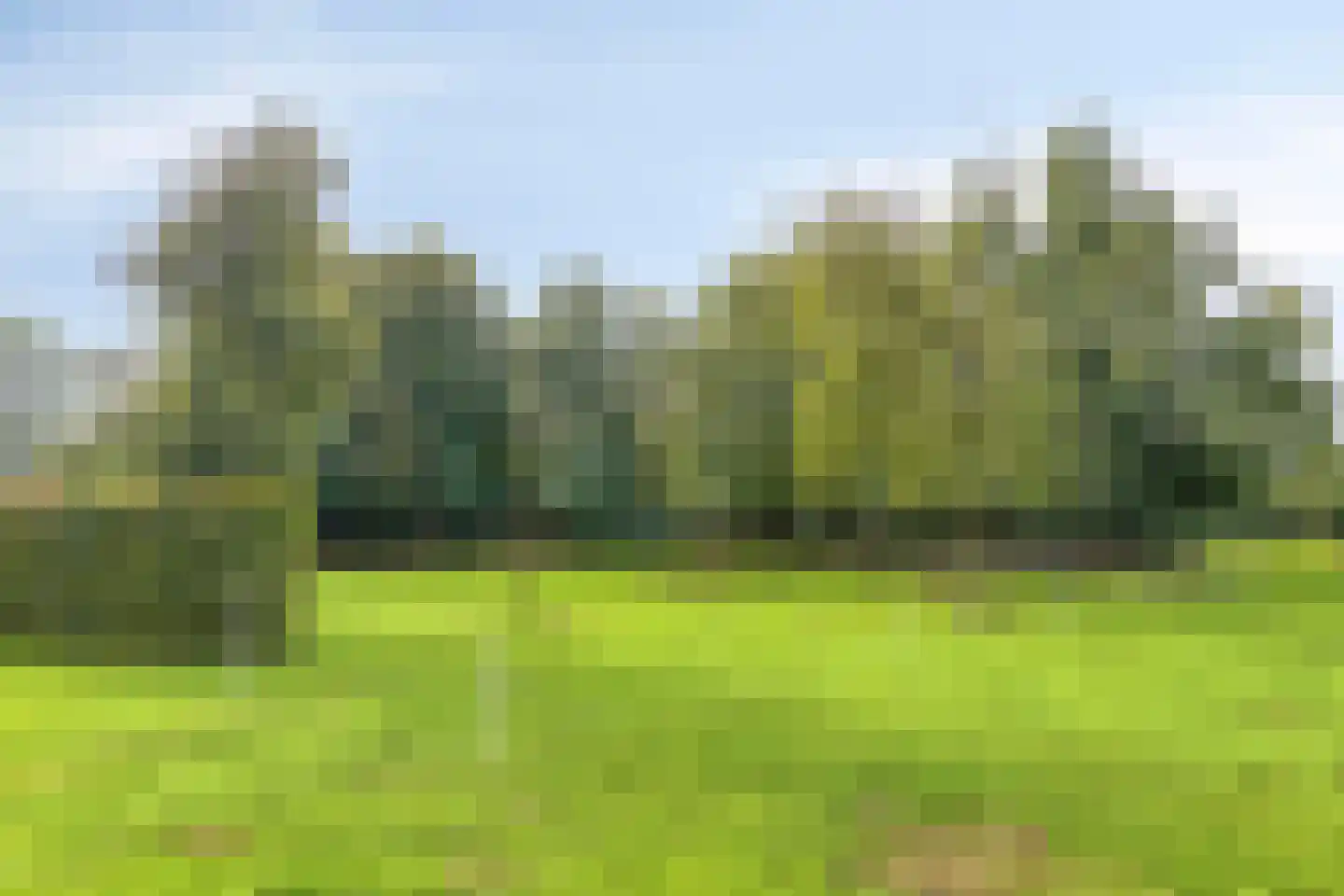 Meester Lokstraat 9 Ravenswoud thumbnail 41