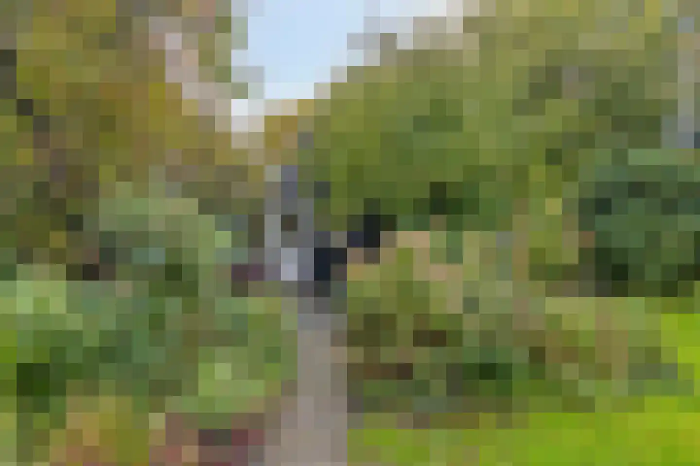 Meester Lokstraat 9 Ravenswoud thumbnail 45