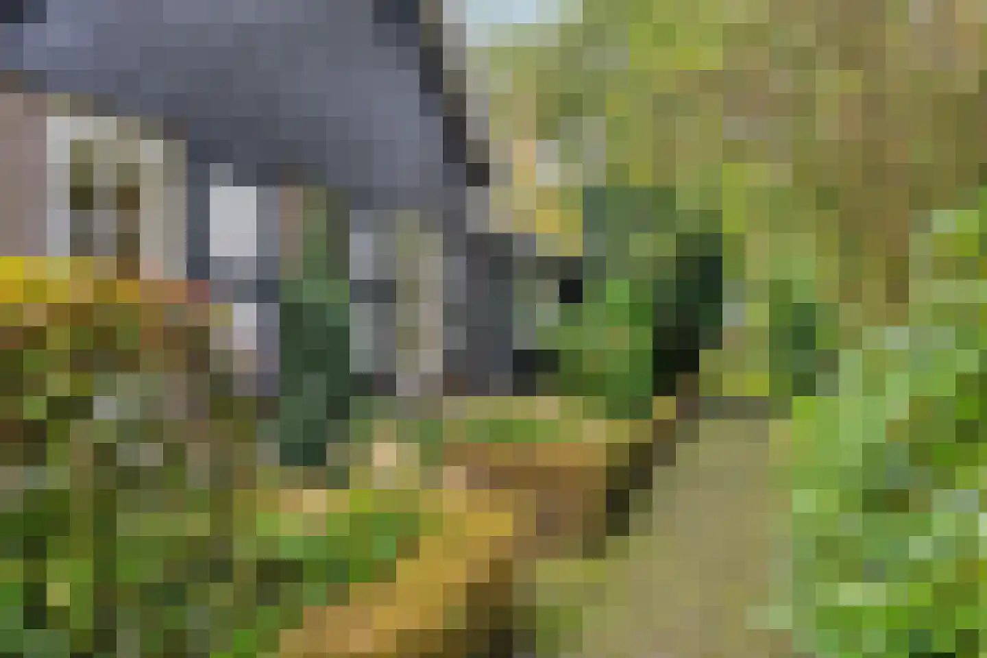 Meester Lokstraat 9 Ravenswoud thumbnail 47