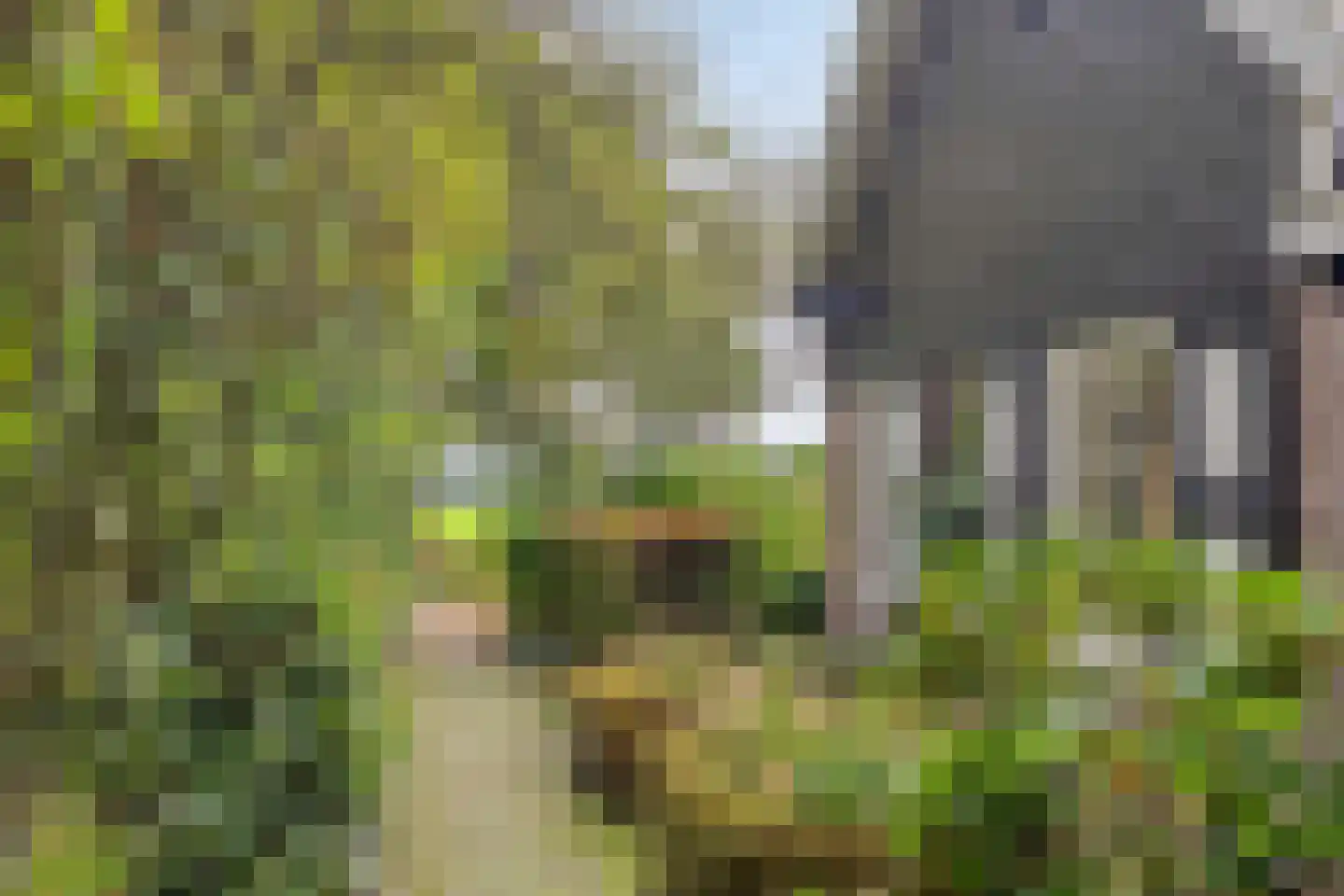 Meester Lokstraat 9 Ravenswoud thumbnail 48