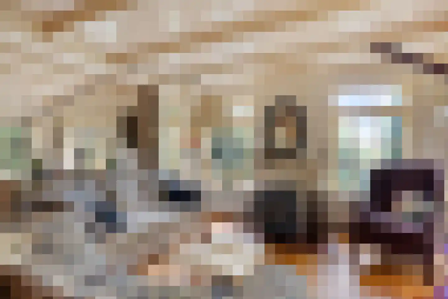 Meester Lokstraat 9 Ravenswoud thumbnail 6