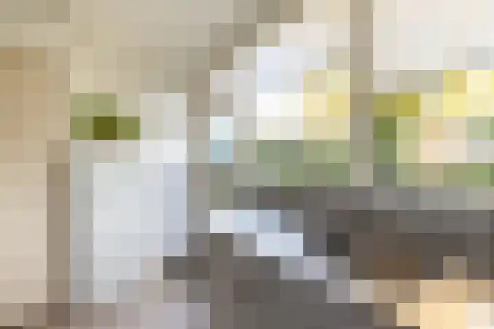 Meester Lovinklaan 11 Doetinchem thumbnail 12
