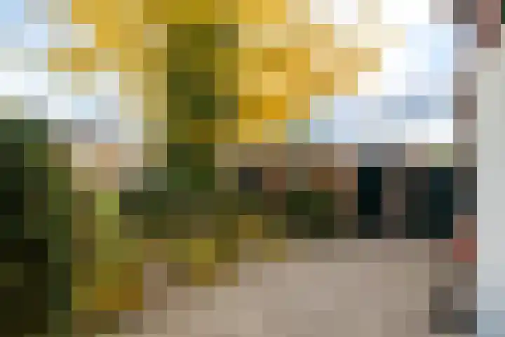 Meester Lovinklaan 11 Doetinchem thumbnail 13