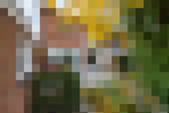 Meester Lovinklaan 11 Doetinchem thumbnail 14