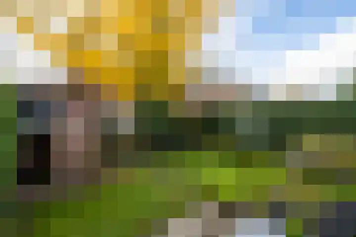 Meester Lovinklaan 11 Doetinchem thumbnail 15
