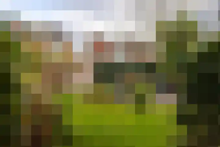 Meester Lovinklaan 11 Doetinchem thumbnail 16