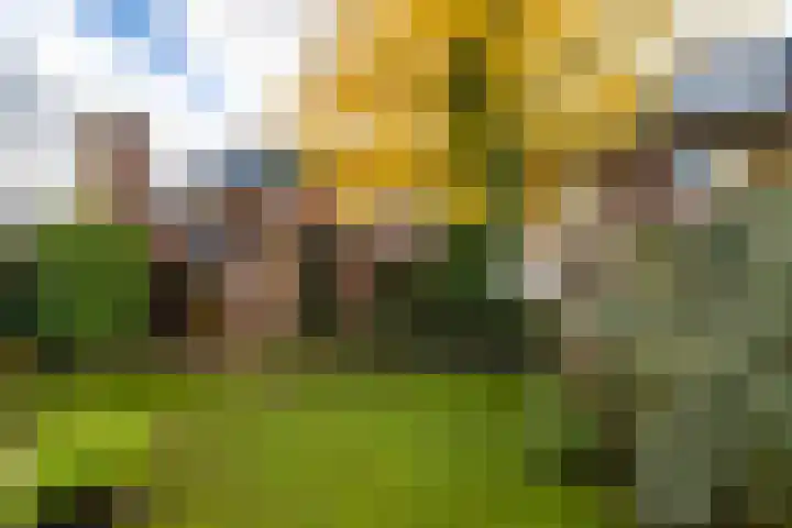 Meester Lovinklaan 11 Doetinchem thumbnail 18