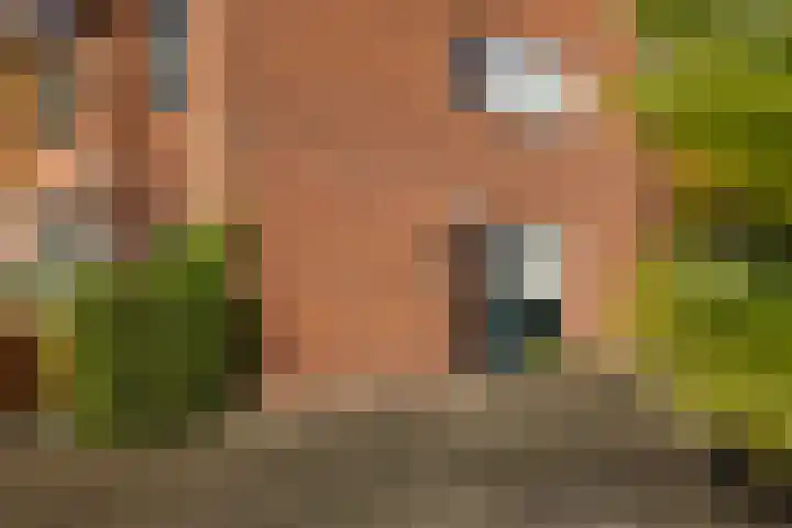 Meester Lovinklaan 11 Doetinchem thumbnail 20