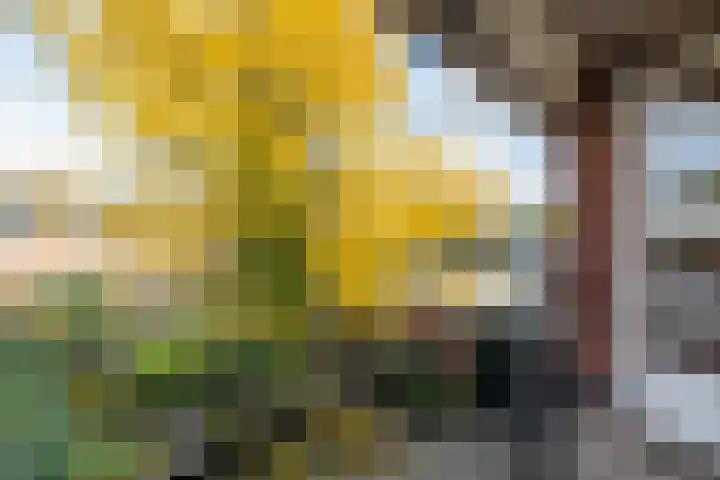 Meester Lovinklaan 11 Doetinchem thumbnail 32