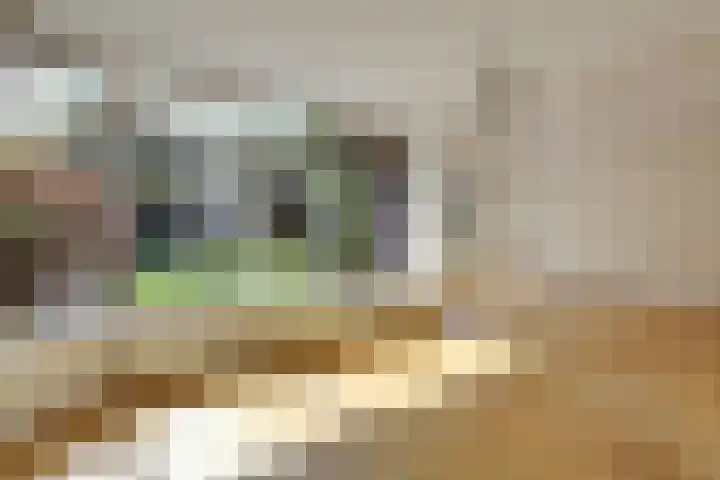 Meester Lovinklaan 55 Doetinchem thumbnail 10