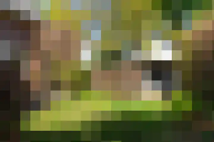 Meester Lovinklaan 55 Doetinchem thumbnail 22